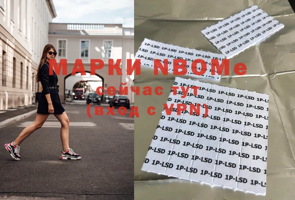 ГАЛЛЮЦИНОГЕННЫЕ ГРИБЫ Елабуга
