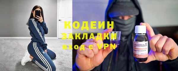 ГАЛЛЮЦИНОГЕННЫЕ ГРИБЫ Елабуга