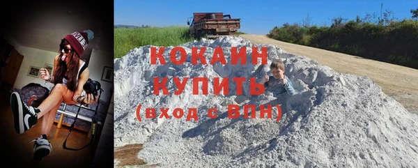 дмт Елизово