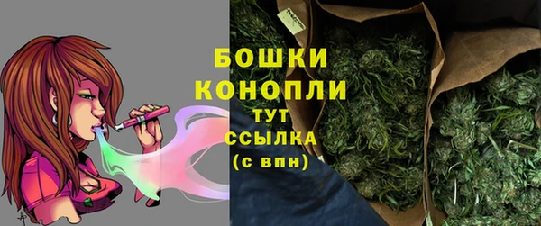 дмт Елизово
