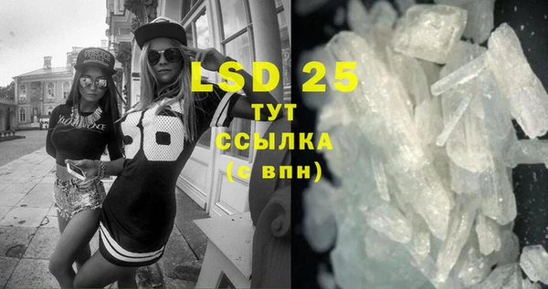 ГАЛЛЮЦИНОГЕННЫЕ ГРИБЫ Елабуга