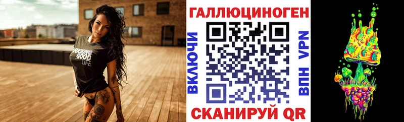 Купить закладки  Строитель  Галлюциногенные грибы Cubensis 